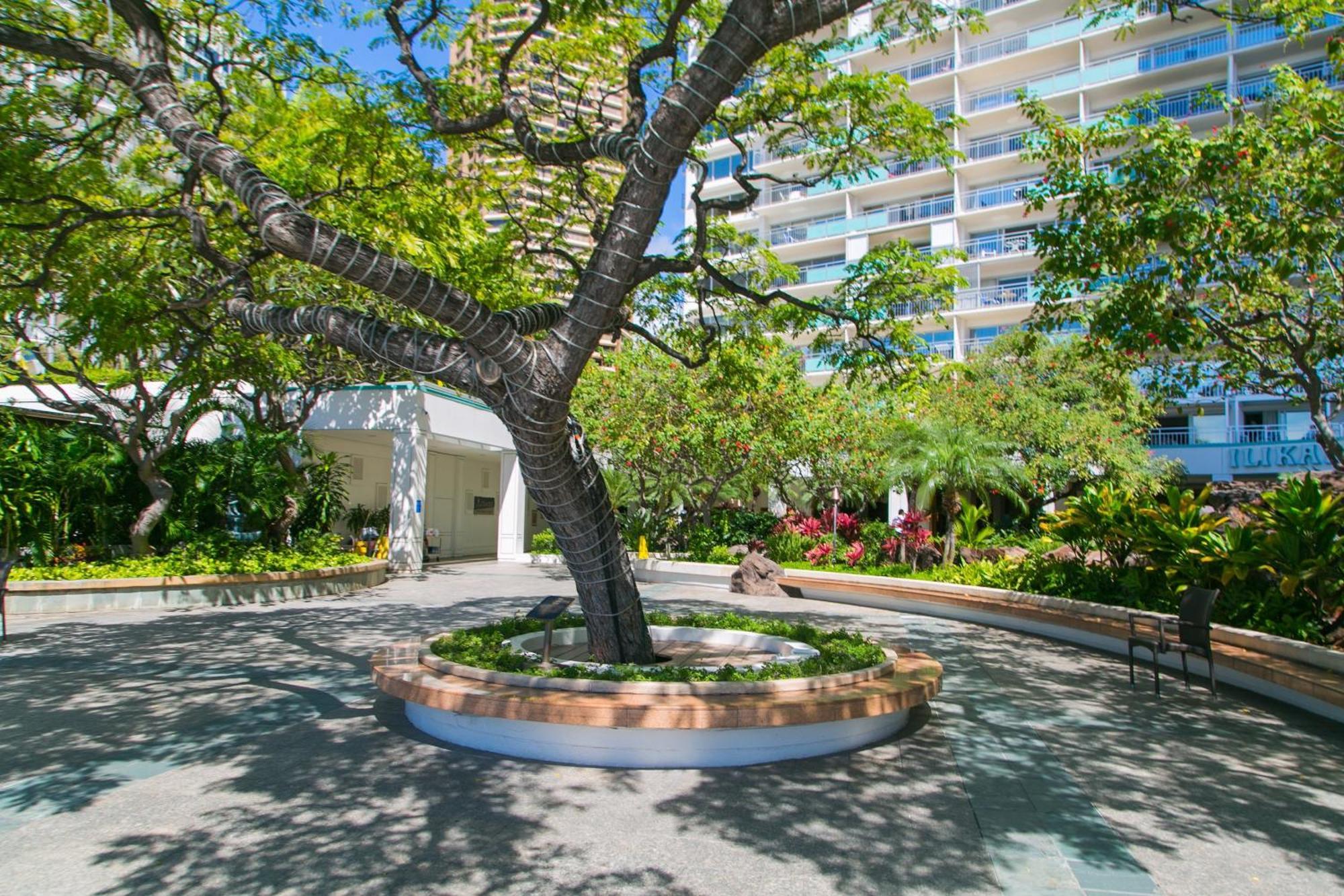 Ilikai Tower 936 Lagoon View 1Br Honolulu Ngoại thất bức ảnh